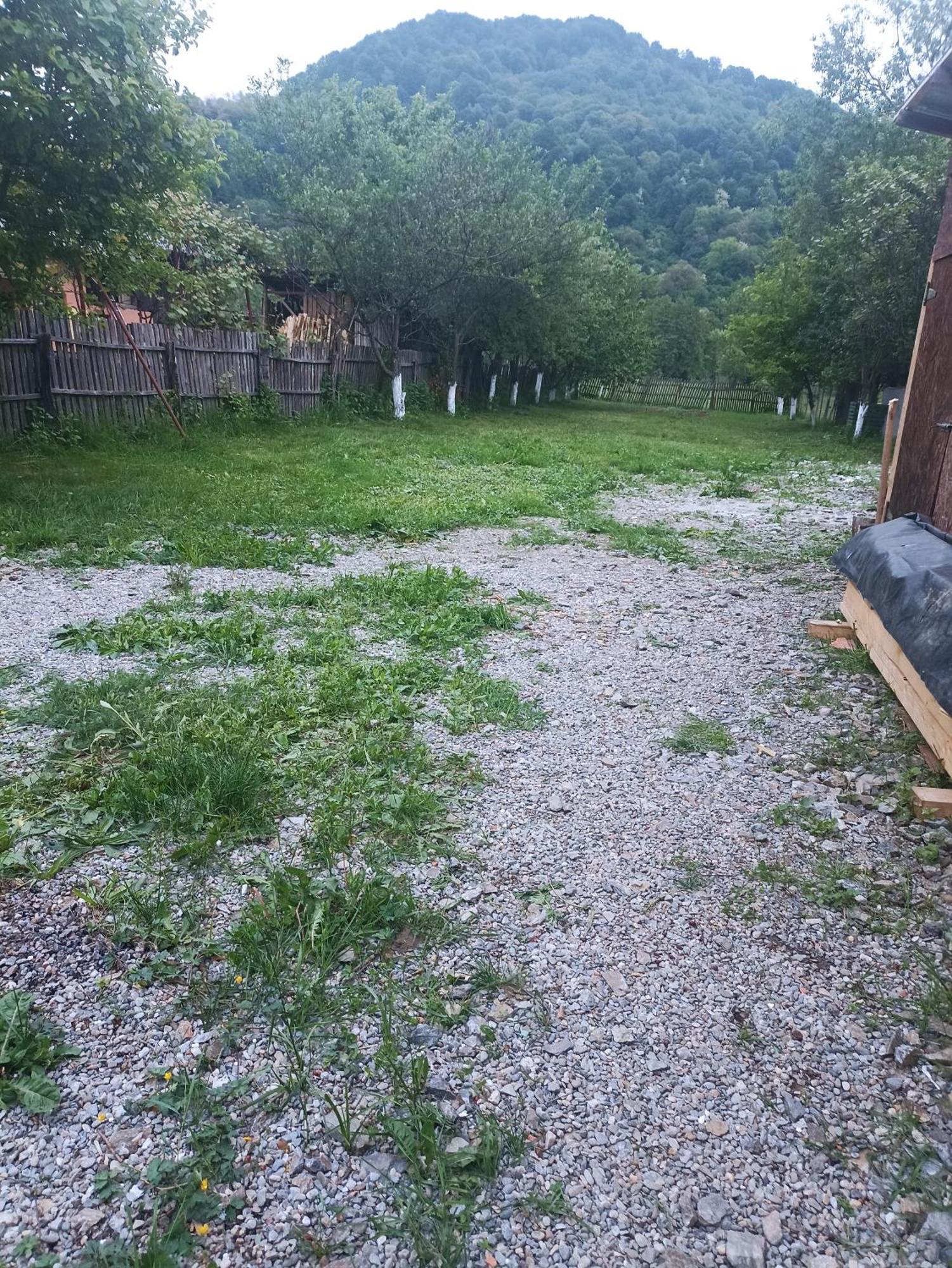 Hotel Popasul Drumetului Transfagarasan Curtea de Argeş Exterior foto